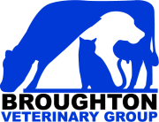 logo - cat, dog and cow graphic logo - cat, dog and cow graphic